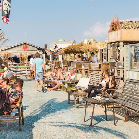 Seawave Studio Zandvoort Exteriör bild