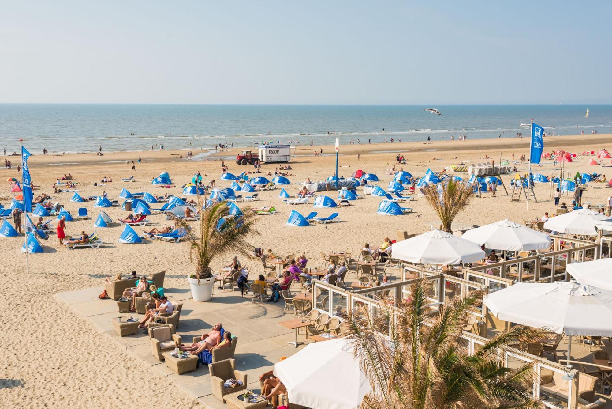 Seawave Studio Zandvoort Exteriör bild